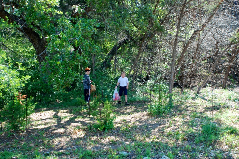 2012/04(April)/Easter/800x600_2012-04-08-41-Egg Hunt.jpg